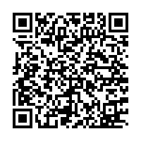 City Center Best Hostel